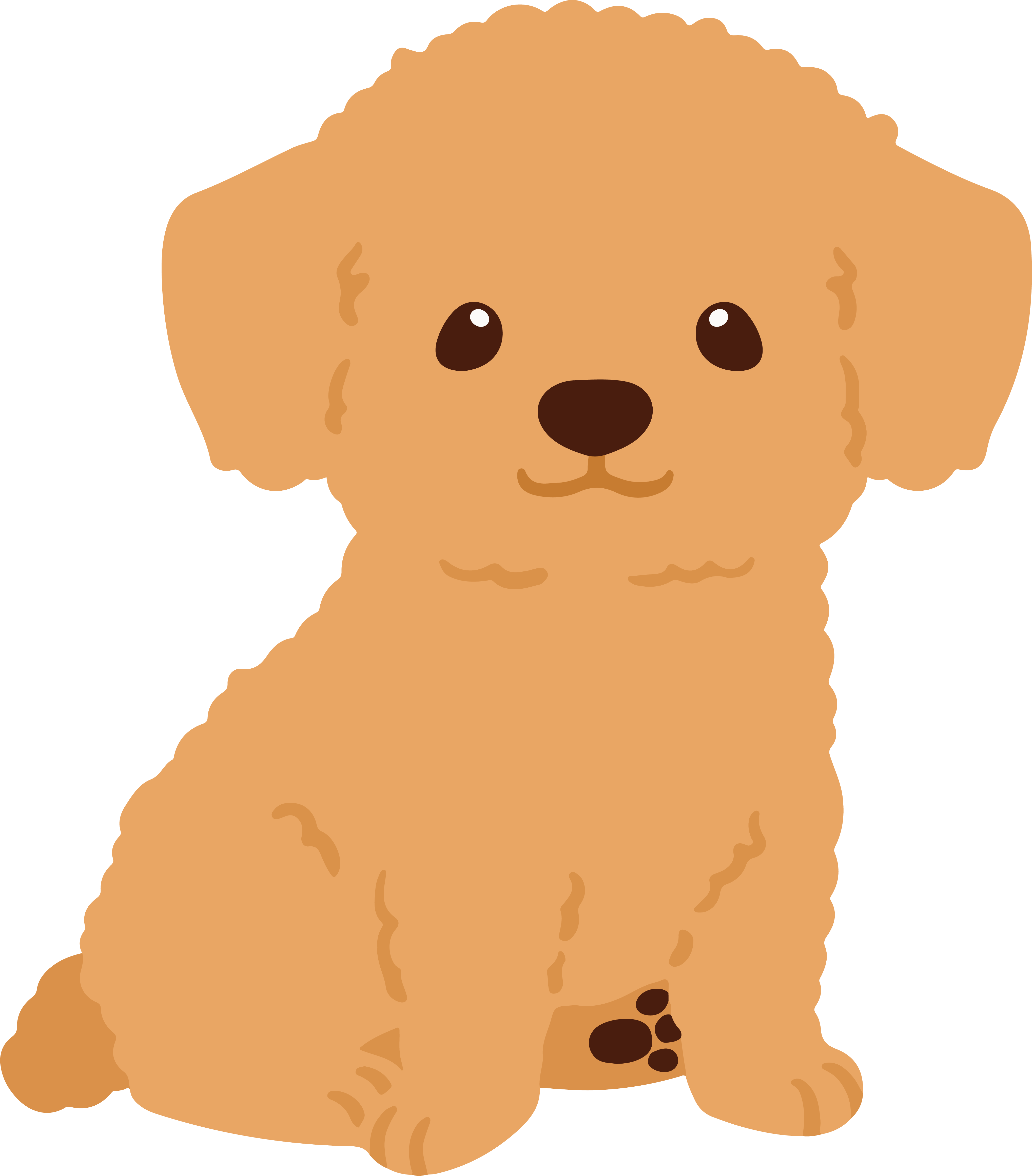 dog